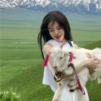黑帮掌门人